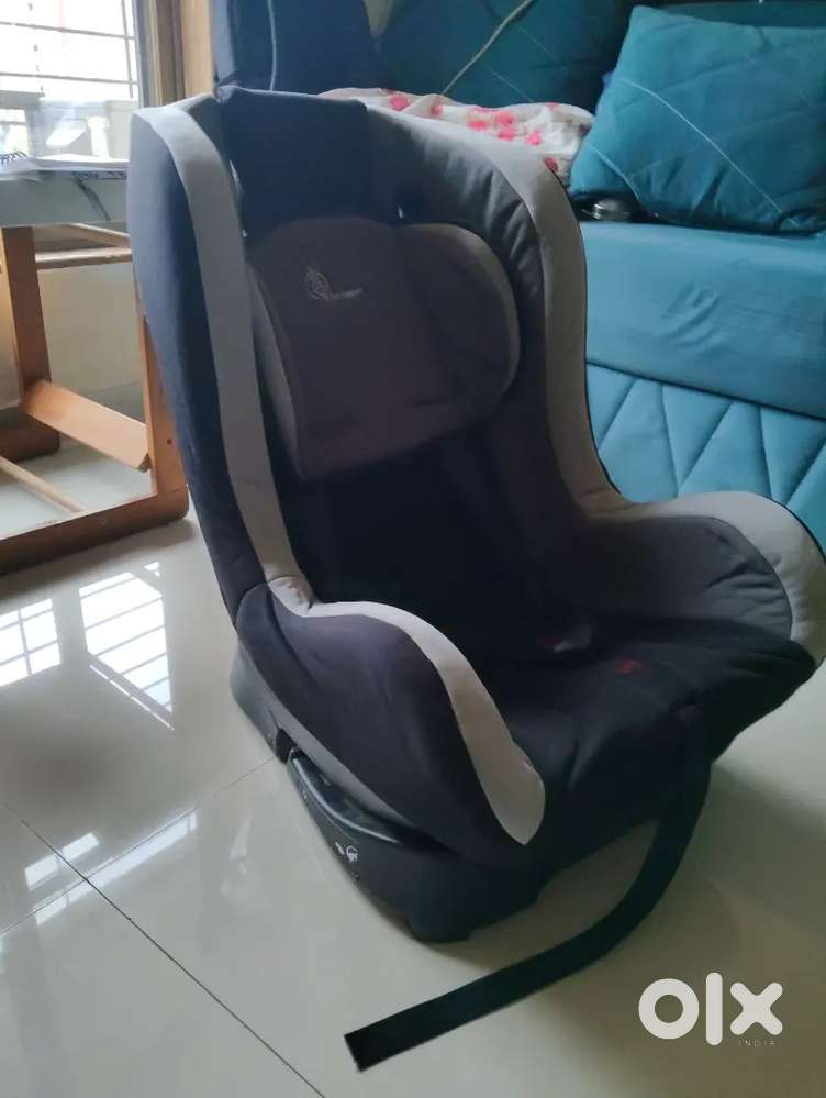 Car seat r for rabbit