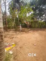 Chilimbi 3 Cents Muda Approved Site for Sale Rs. 54 Lakhs negotiable