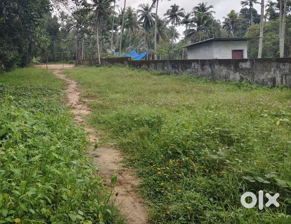 PLOT FOR SALE.  2,00,000/- per cent.  (Negotiable)