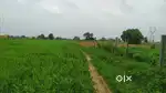 के डी ए आवासीय प्लॉट व हाइवे से जुड़ी कृषि जमीन के लिए संपर्क करें