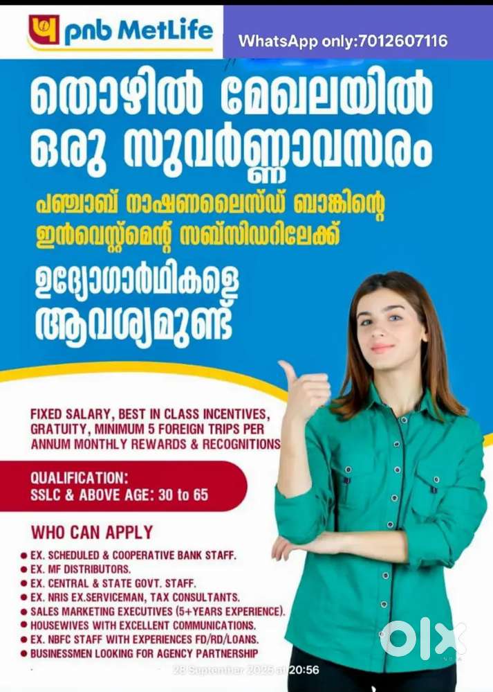 PNB metlife ലേയ്ക്ക് ഉദ്യോഗാർഥികളെ ആവശ്യമുണ്ട്