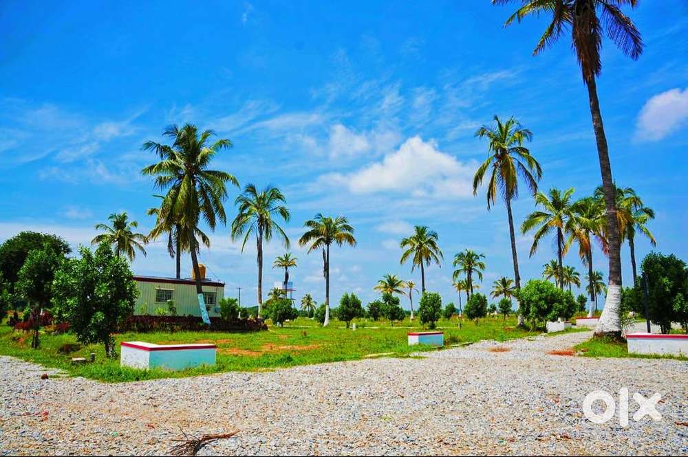Very low budget residential plots for Sale
