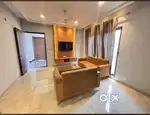 Two BHK, fully  furnished independent luxury house labels for
