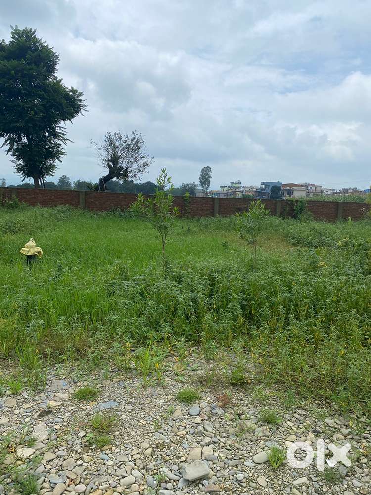 Opposite to doon business university best for investment