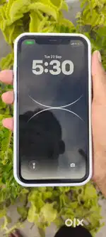Iphone  11