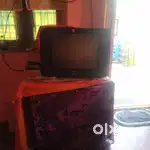 Sansue sansue