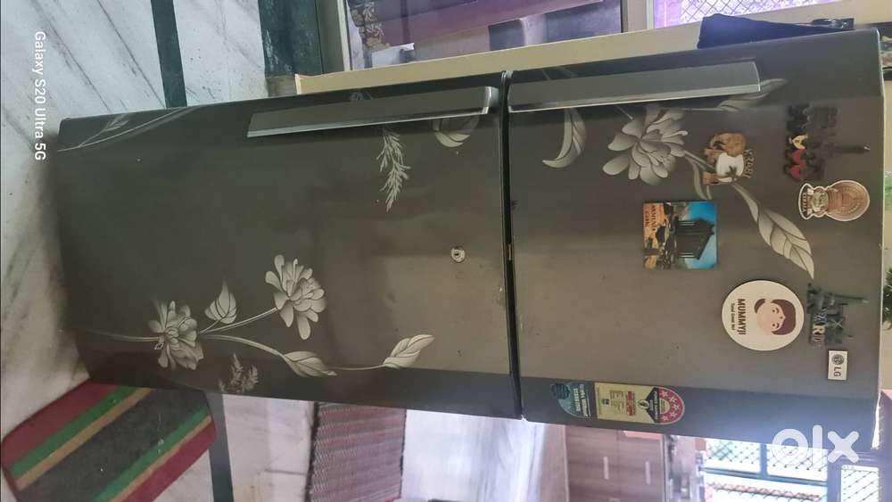 LG double door 10 years