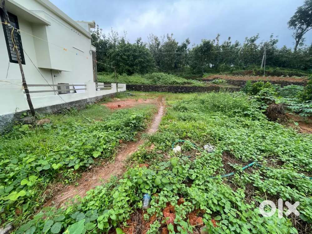 Kothamangalam chelad house plots for sale