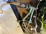 One year old Ninety one bicycle