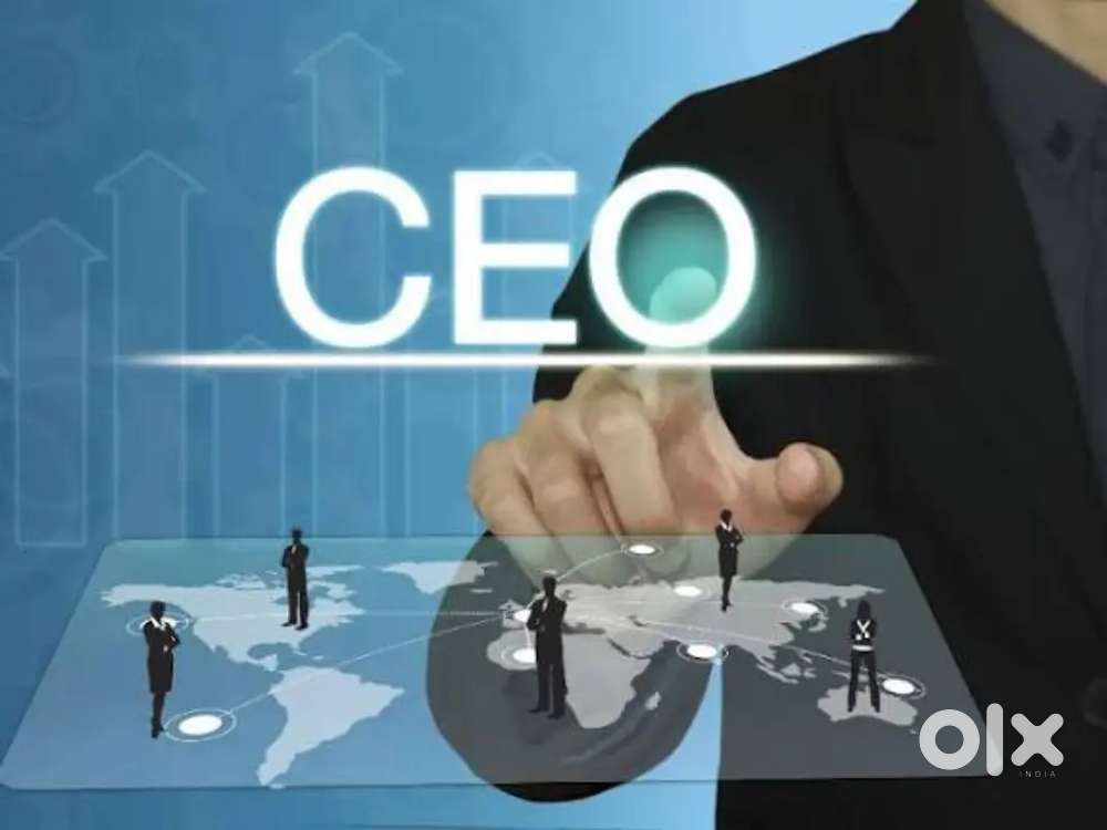 Company Hiring CEO ( Chief Excutive Officer) Female or Male