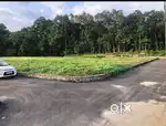 കോതമംഗലം  കുത്തു കുഴി   2 ലക്ഷം