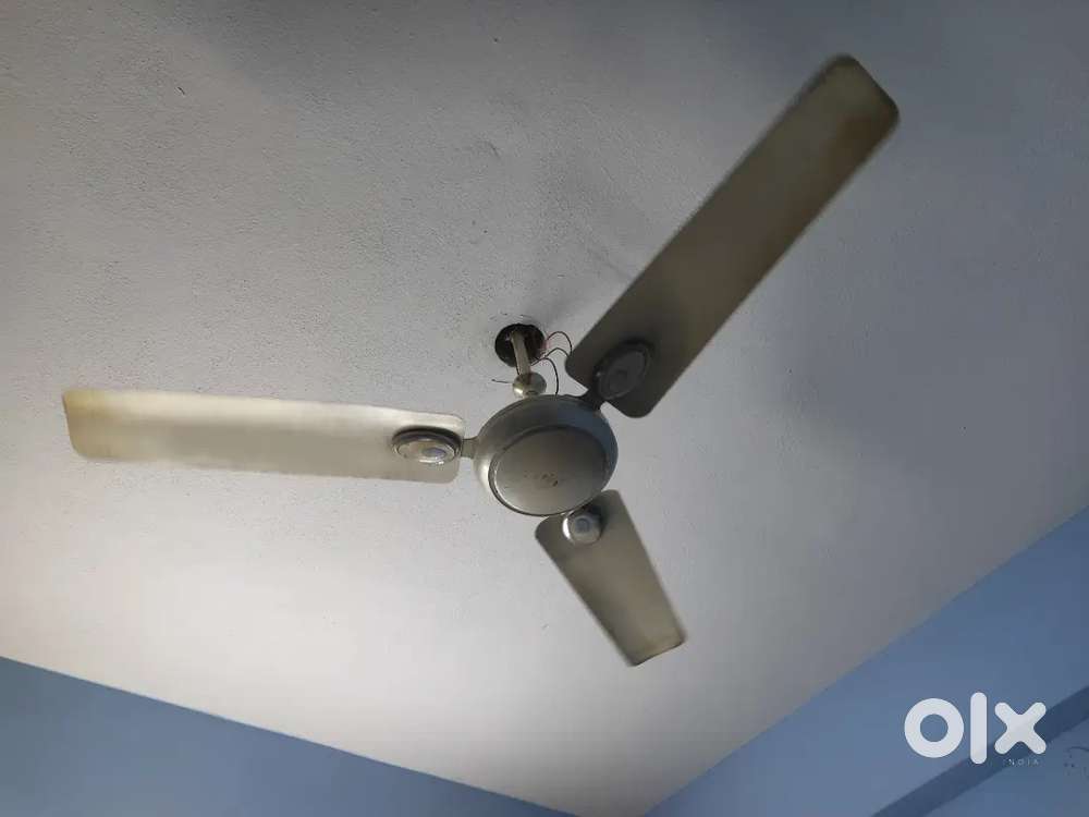 Havells fan