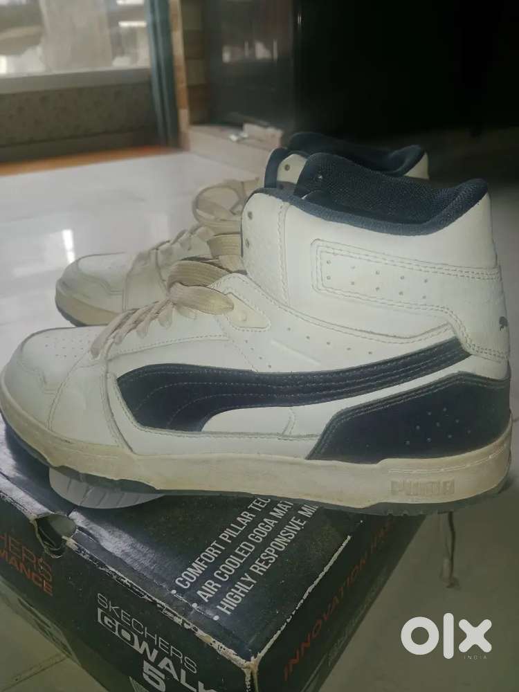 Original puma