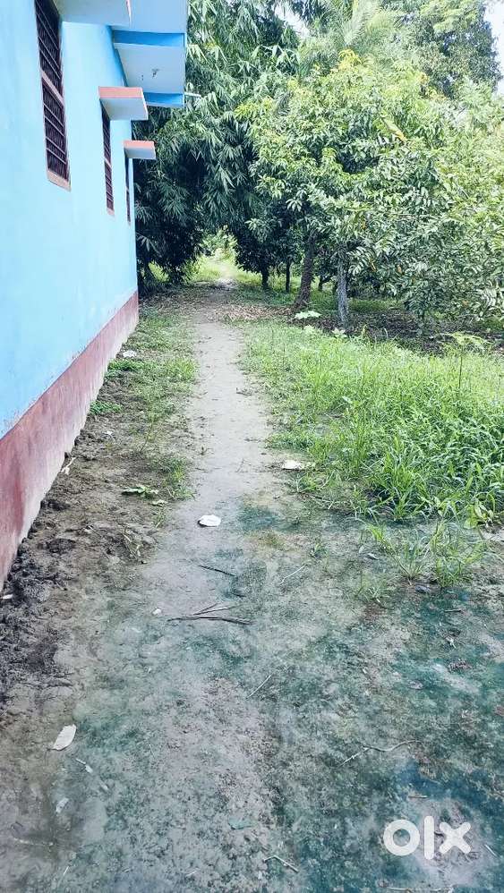Plot sell by owner in village