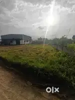 Open Plot or Industrial Shade available on rent