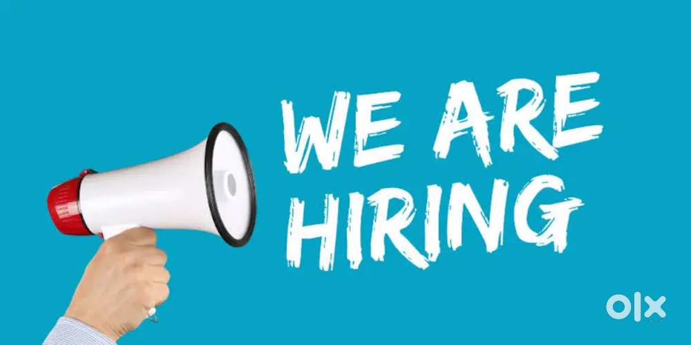Work From Home Opportunity – Need Laptop Only  No Investment