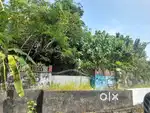 Prime 27.5-Cent Commercial Plot for Sale on Kaloor-Kadavanthara Road
