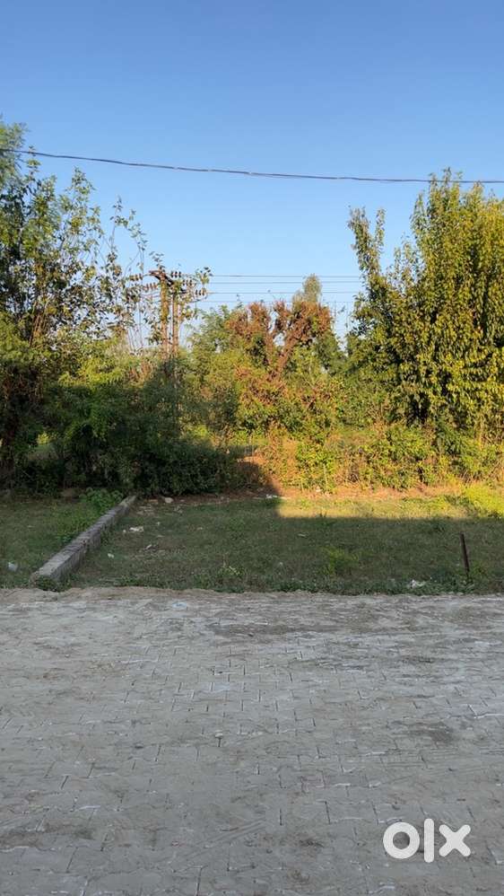 3 marle Plot for sale in sai market jassur
