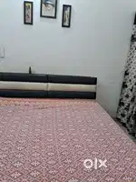 Rooms, flats and pg available