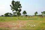 NA Plot for Sale