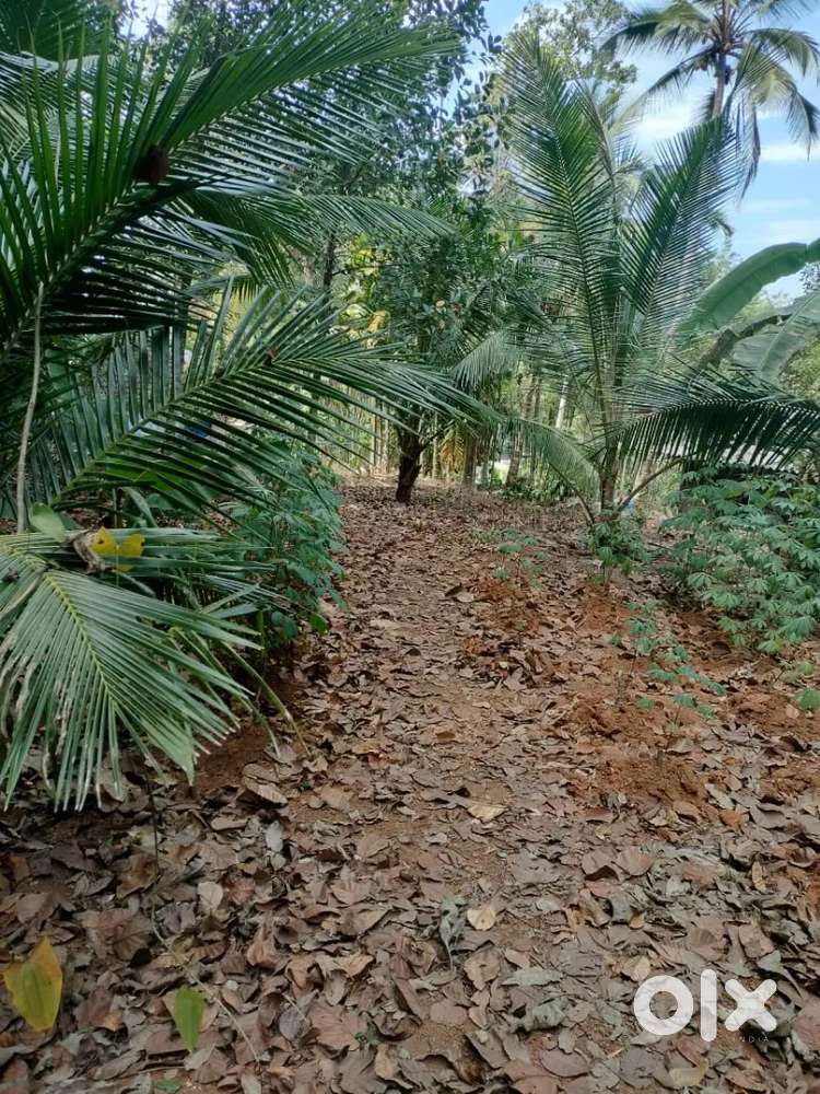 10 cent square plot for sale