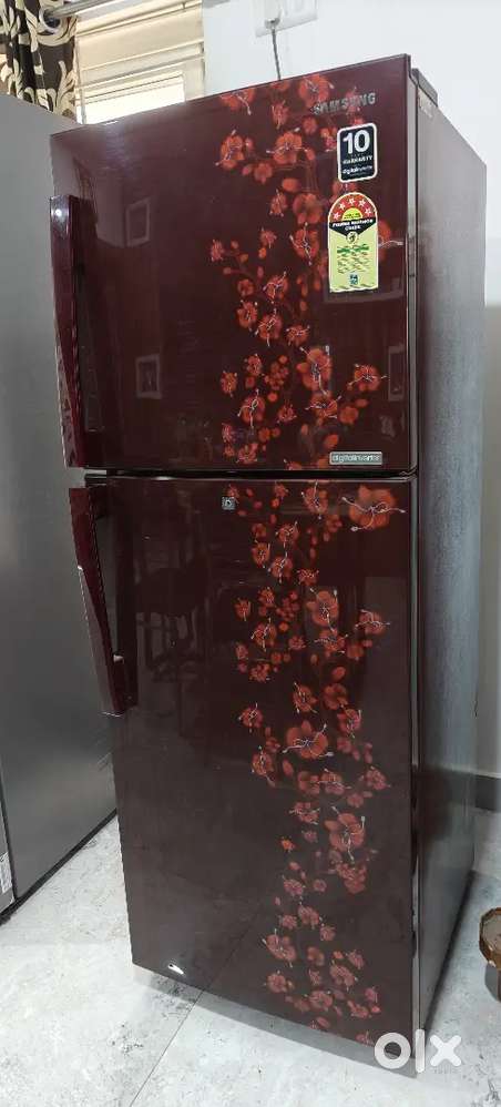 Samsung 253 L 5 Star Inverter Frost-Free Double Door Refrigerator