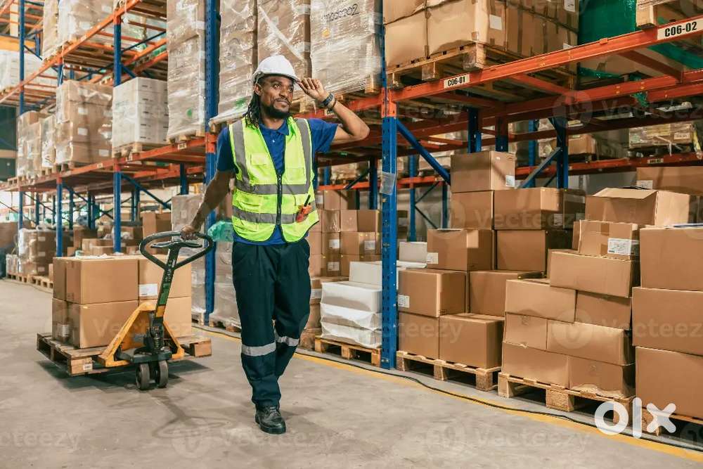 Looking for freshers and experience candidates in warehouse company