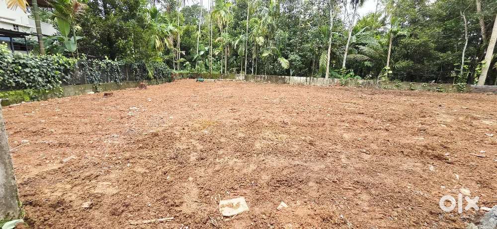 10CENT BUS ROUTE FRONTAGE KAKKANAD KANINAD