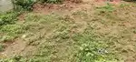 Site for sale