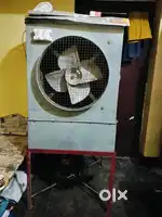 One year old coller with stand in running condition