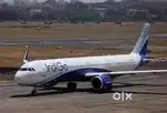 Jobs in indigo airlines urgent hiring apply fast