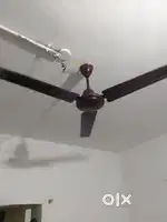 New fan copper