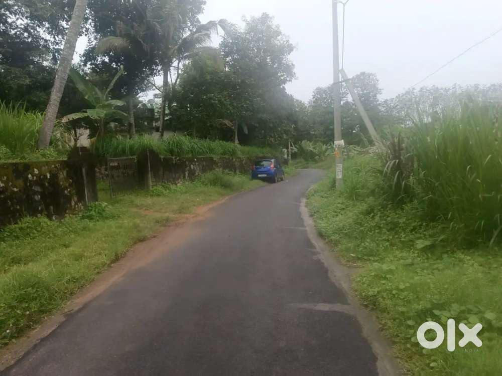 Plot for Sale in Kollam