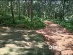 House plot for sale (25 cent)
