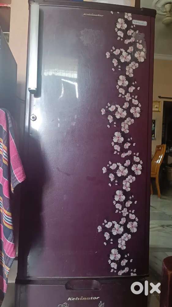 Kelvinator fridge