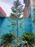 Lagbhag 15ft ka hai with bahubali pot(SimantNaand)