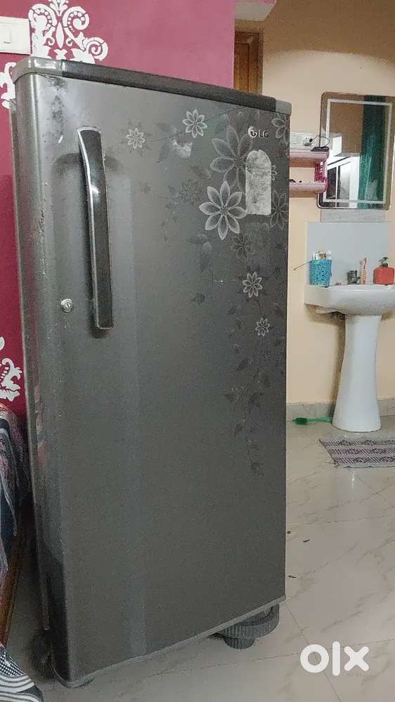 Single door refrigerator