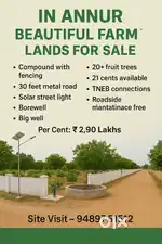 Annur to Mettupalayam Road. FARM LANDS FOR SALE