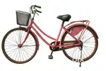 Girl cycle in running condition