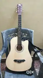 Acoustic guitar