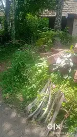 Vengali aandi Road 5 cnt Plot with an old house for sale
