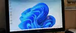 Hp monitor
