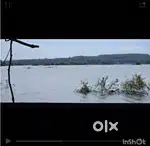 25 Acre Backwater-Facing Plantation for Sale – Hassan