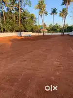 Land in karikkamkulam for sale