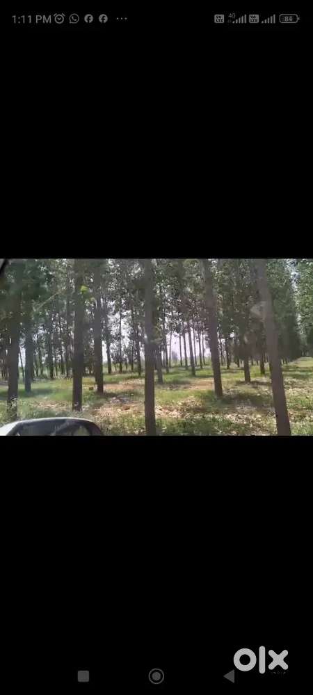 58-Acre Agriculture Land with Luxury Kothi and Agriculture Equipments