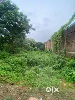Raiyati plot for sale in Bari coperative