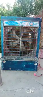 Cooler to stay away from the heat