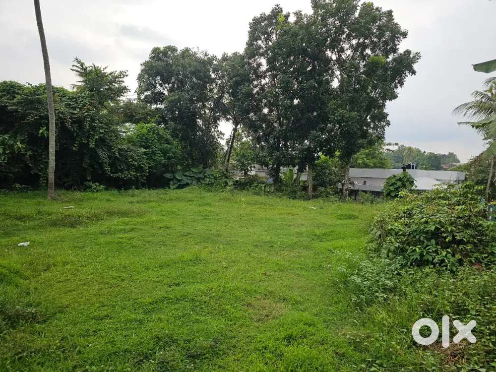 15 cents  plot 300 metre near to Thiruvairanikulam Temple