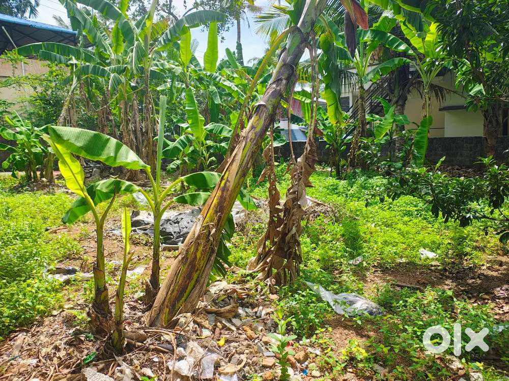 HOUSE FLOT SALE @  THIRUMALA, THACHOTTUKAVU