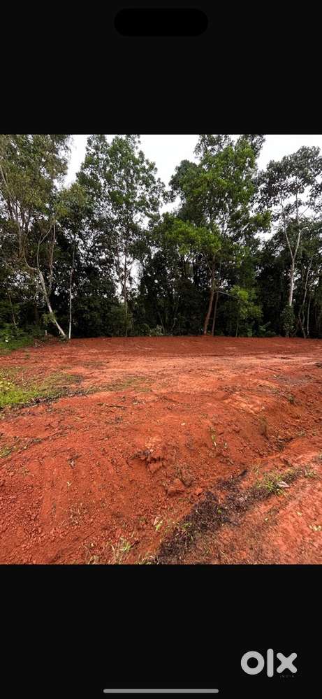 Site for sale in Puttur (Padnooru)